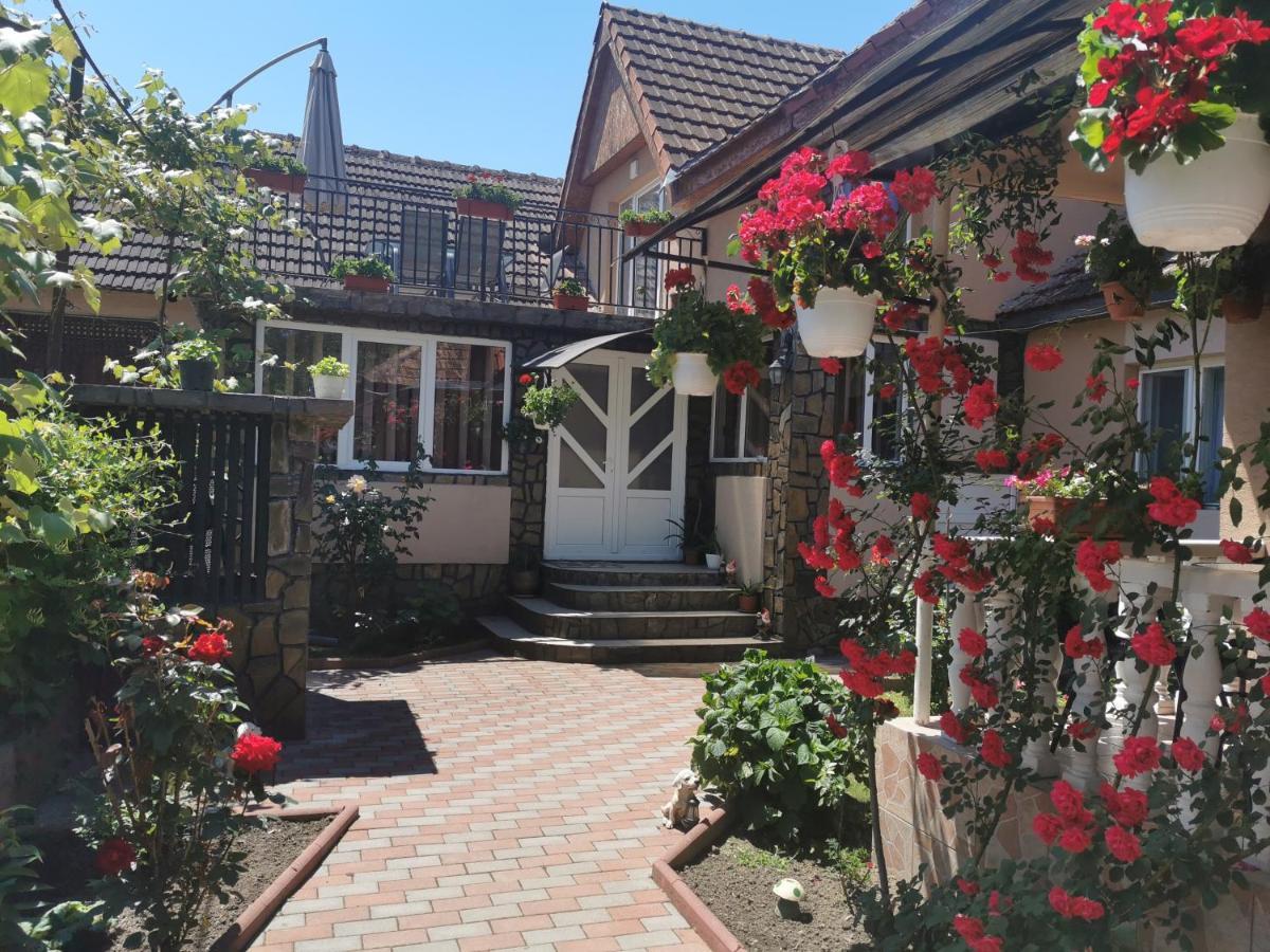 Casa Lidia Hotell Rîu de Mori Eksteriør bilde