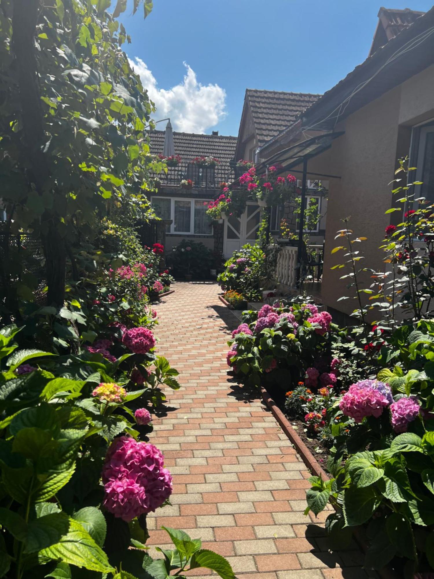 Casa Lidia Hotell Rîu de Mori Eksteriør bilde
