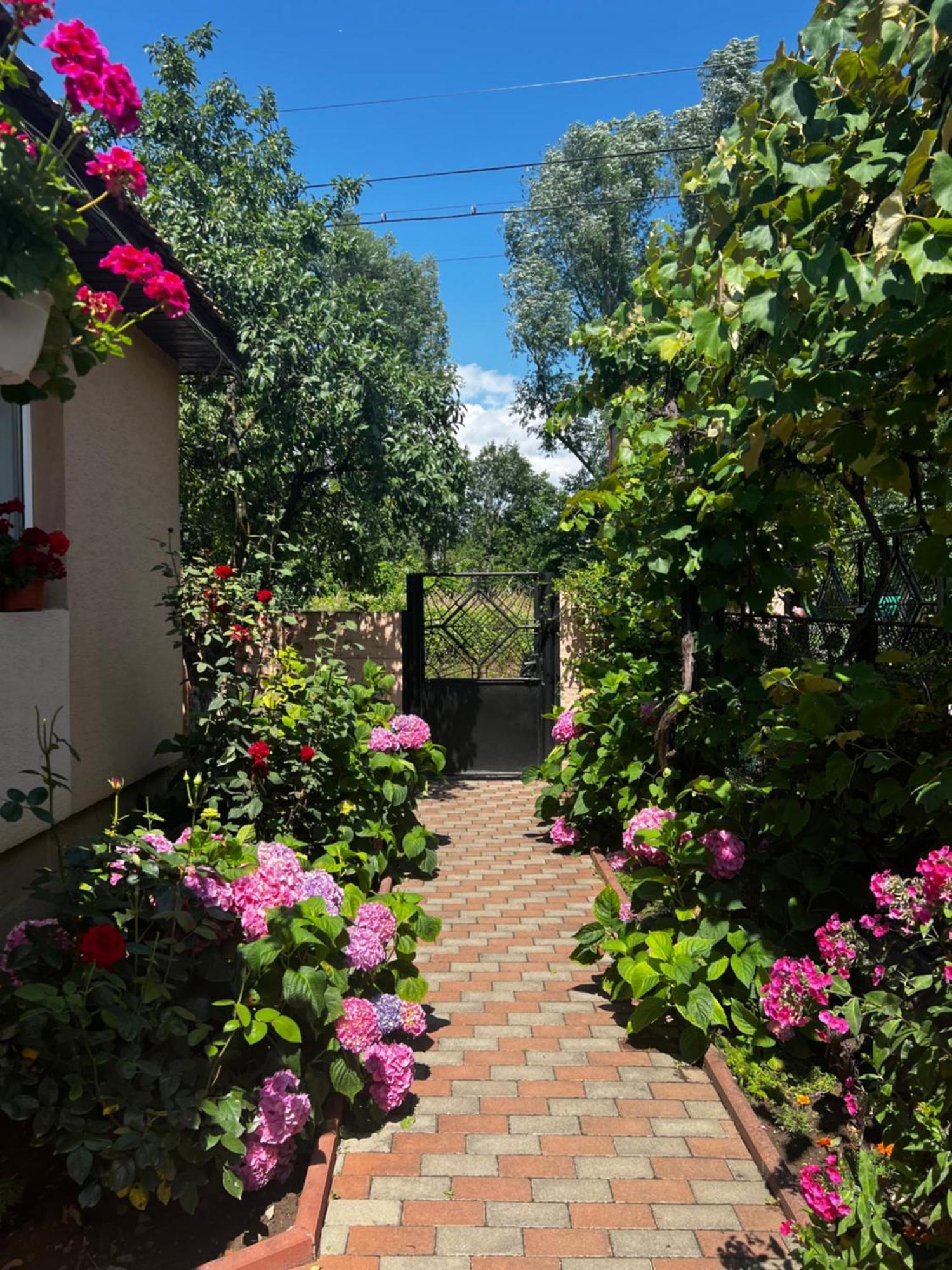 Casa Lidia Hotell Rîu de Mori Eksteriør bilde